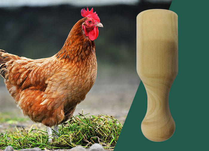 appeaux animaux de la ferme