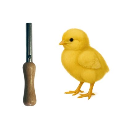 appeau poussin