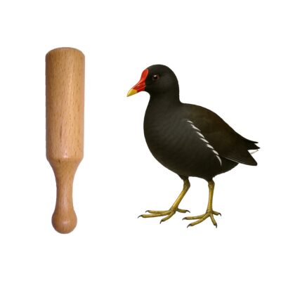 Appeau de la poule d'eau